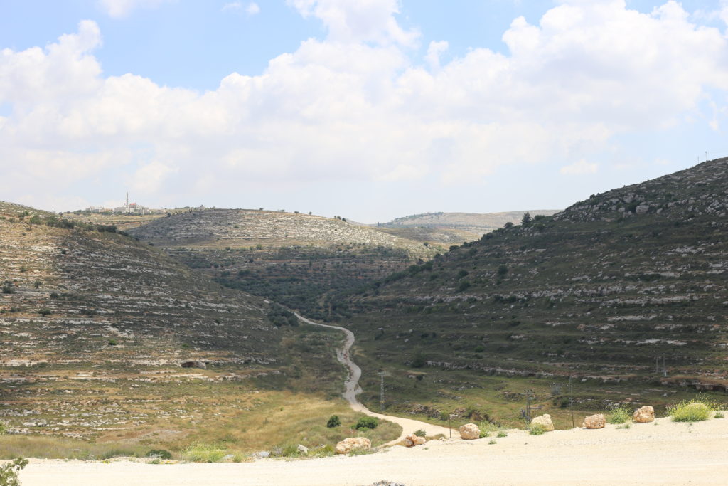 Israeli Environment