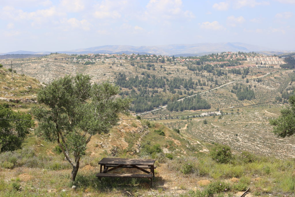 Israeli Environment