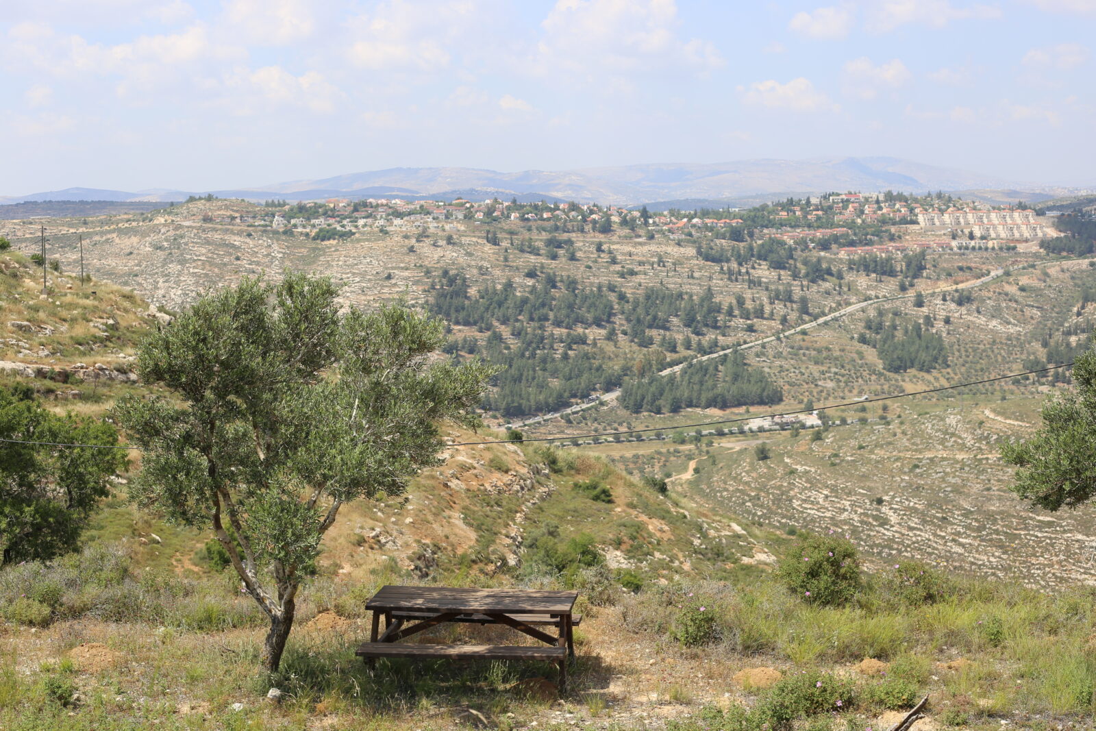 ministry of environment protection israel